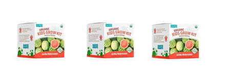 Back to The Roots Kids Science Grow Watermelon (QTY 1)